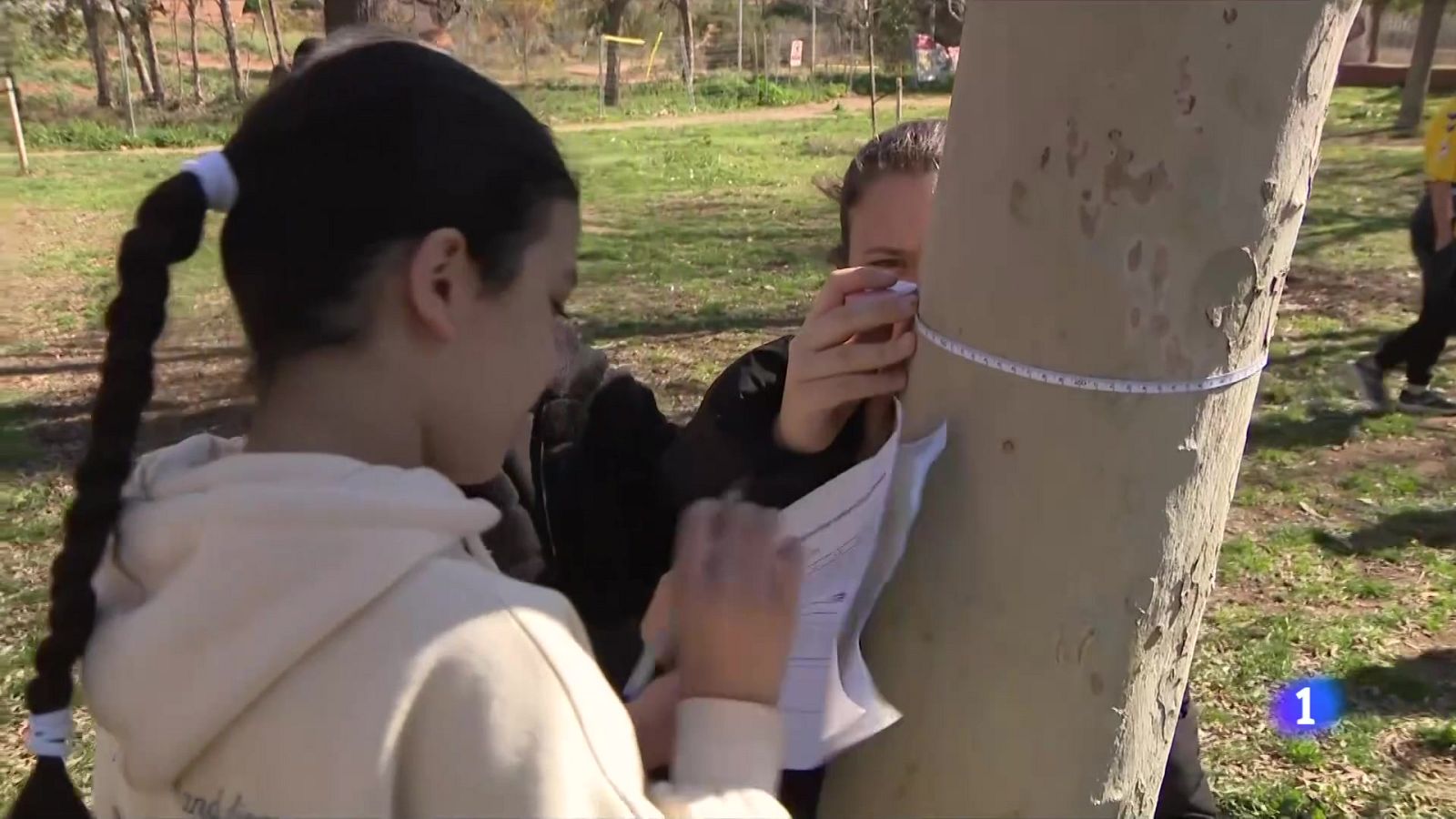 Alumnes de Viladecans mesuren l'arbrada per quantificar el CO₂ - L'Informatiu | Veure