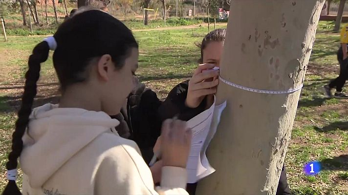 L'Informatiu - Alumnes de Viladecans mesuren prop de 1.300 arbres per quantificar el CO₂