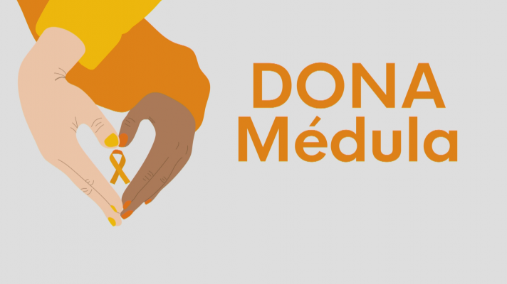 Donar Médula Ósea