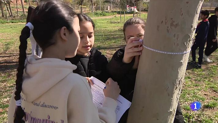 Alumnes de Viladecans mesuren prop de 1.300 arbres per quantificar el CO2
