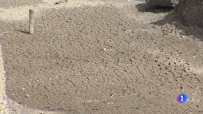 Com s'adapten les ciutats al canvi climàtic?