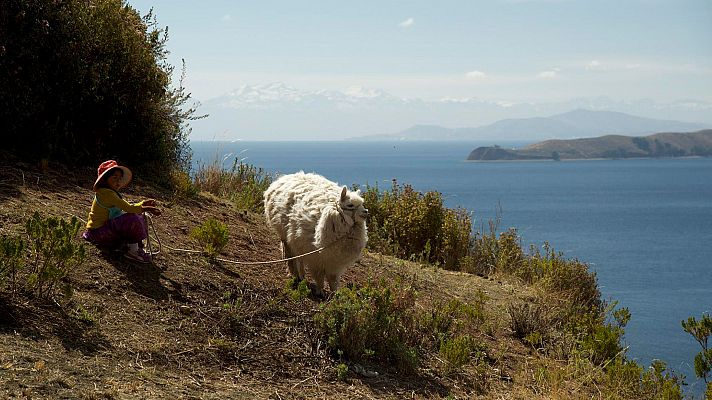 Somos cine - Cuidando al sol - Ver ahora