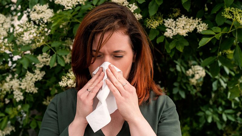 Esta primavera será más intensa para los alérgicos - Informativo 24h | Ver