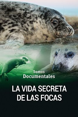 Somos Documentales - La vida secreta de las focas