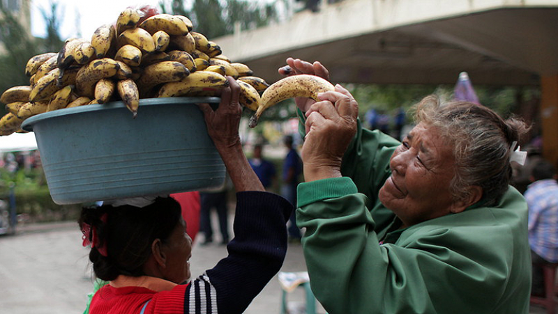 En Honduras, los campesinos se unen para reclamar una reforma agraria que proteja sus derechos frente al acoso de los terratenientes. Los grandes propietarios desplazan a los agricultores para plantar en sus tierras cultivos para biocombustibles.