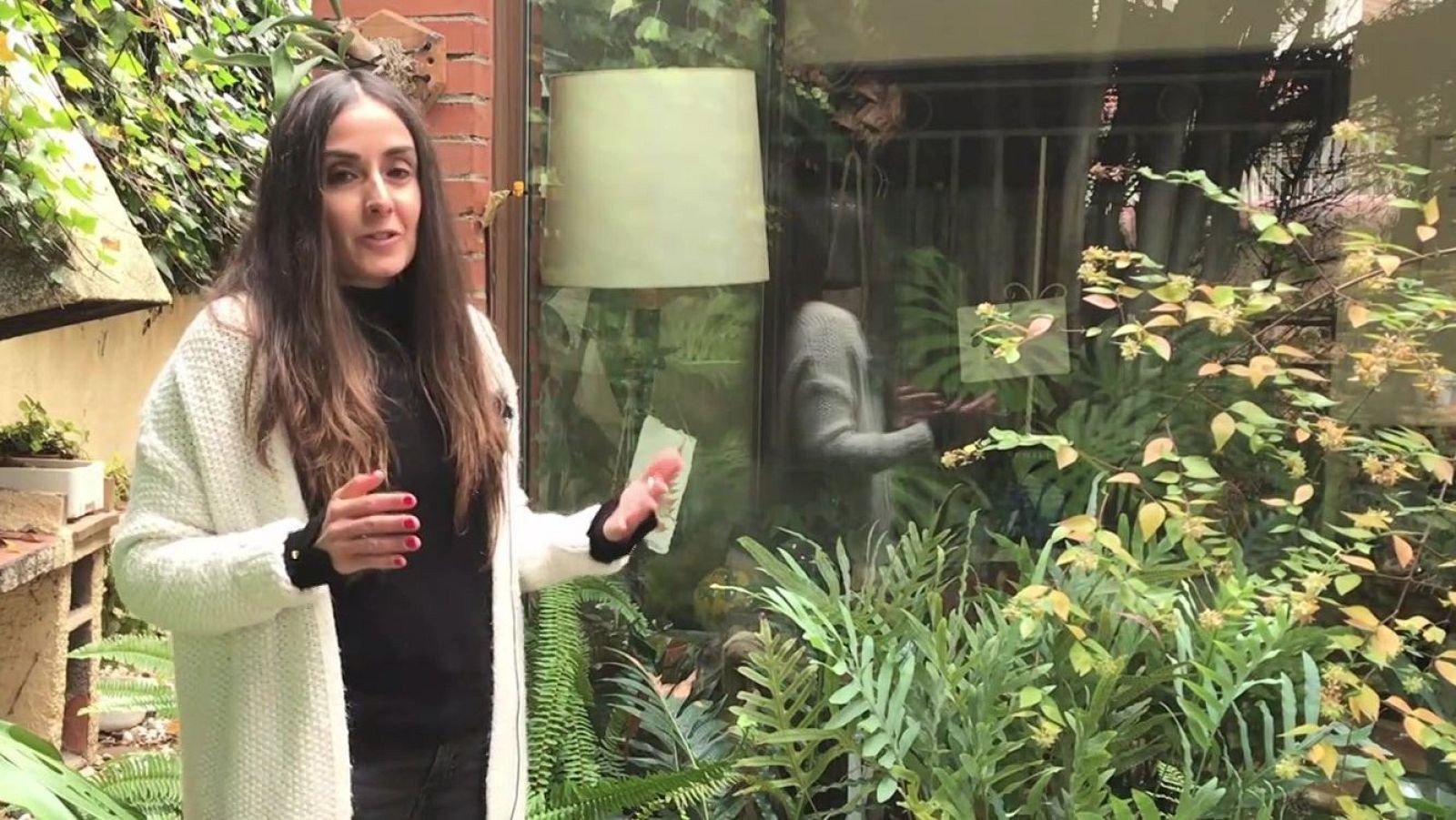 Les falgueres - Va de Verd | RTVE Catalunya - Va de verd | Veure