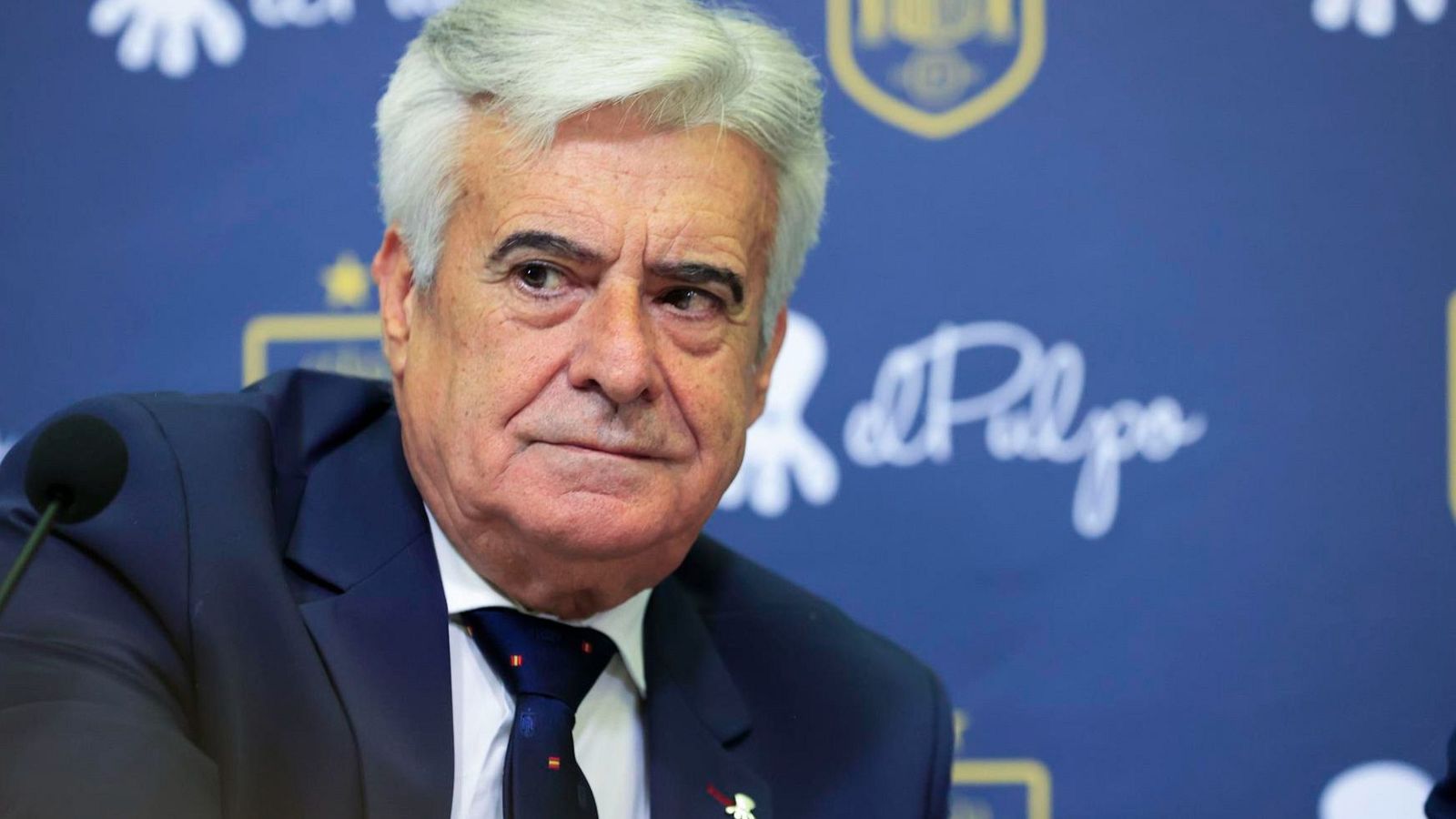 Aplazada la reunión las elecciones a la RFEF | Ver