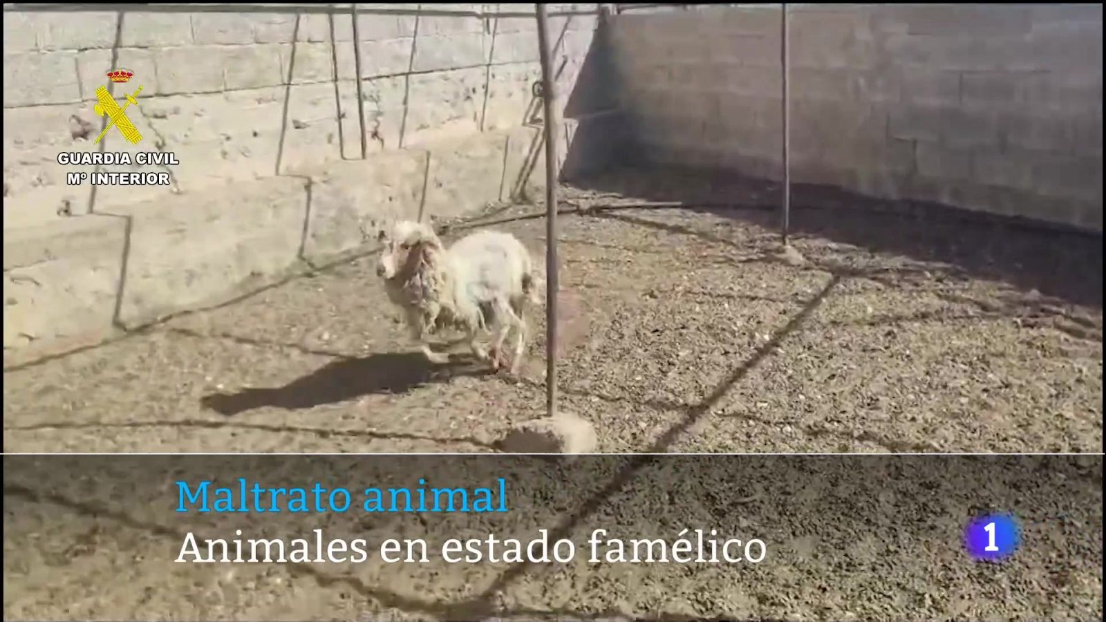 Canarias en 2' - 20/03/2024 | Ver