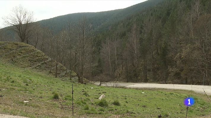 Talar arbres per aconseguir aigua