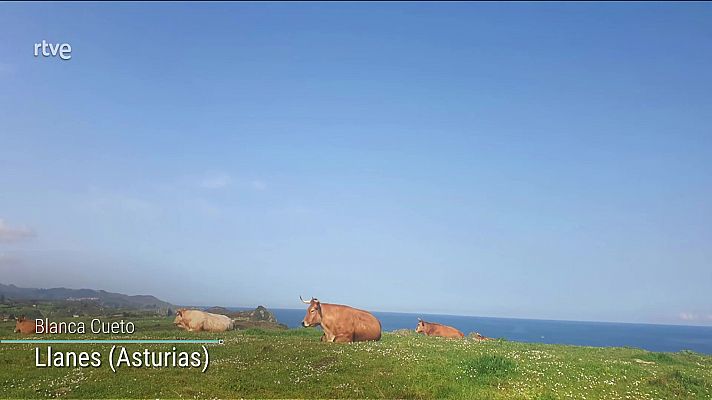 El tiempo - Posibles chubascos localmente fuertes en el entorno del Estrecho