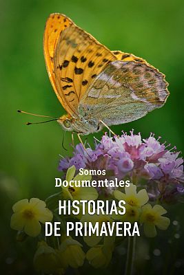 Somos Documentales - Historias de primavera