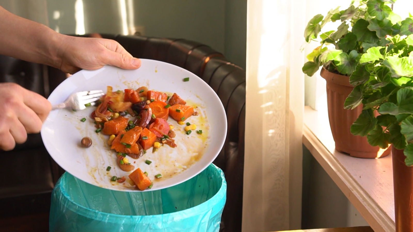 El escarabajo verde - Rebañar el plato