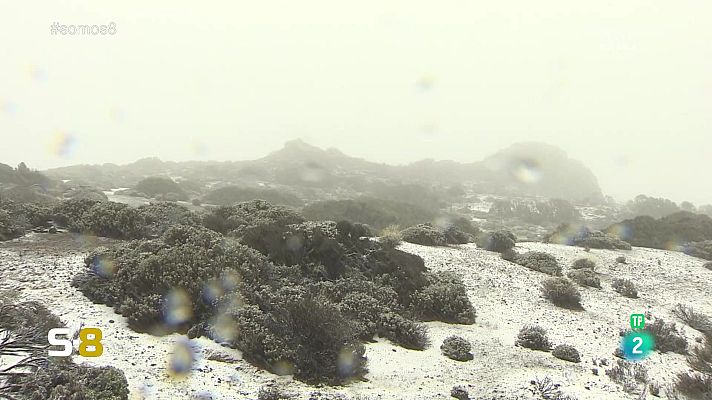 Somos 8 - Somos 8 - 22/03/2024