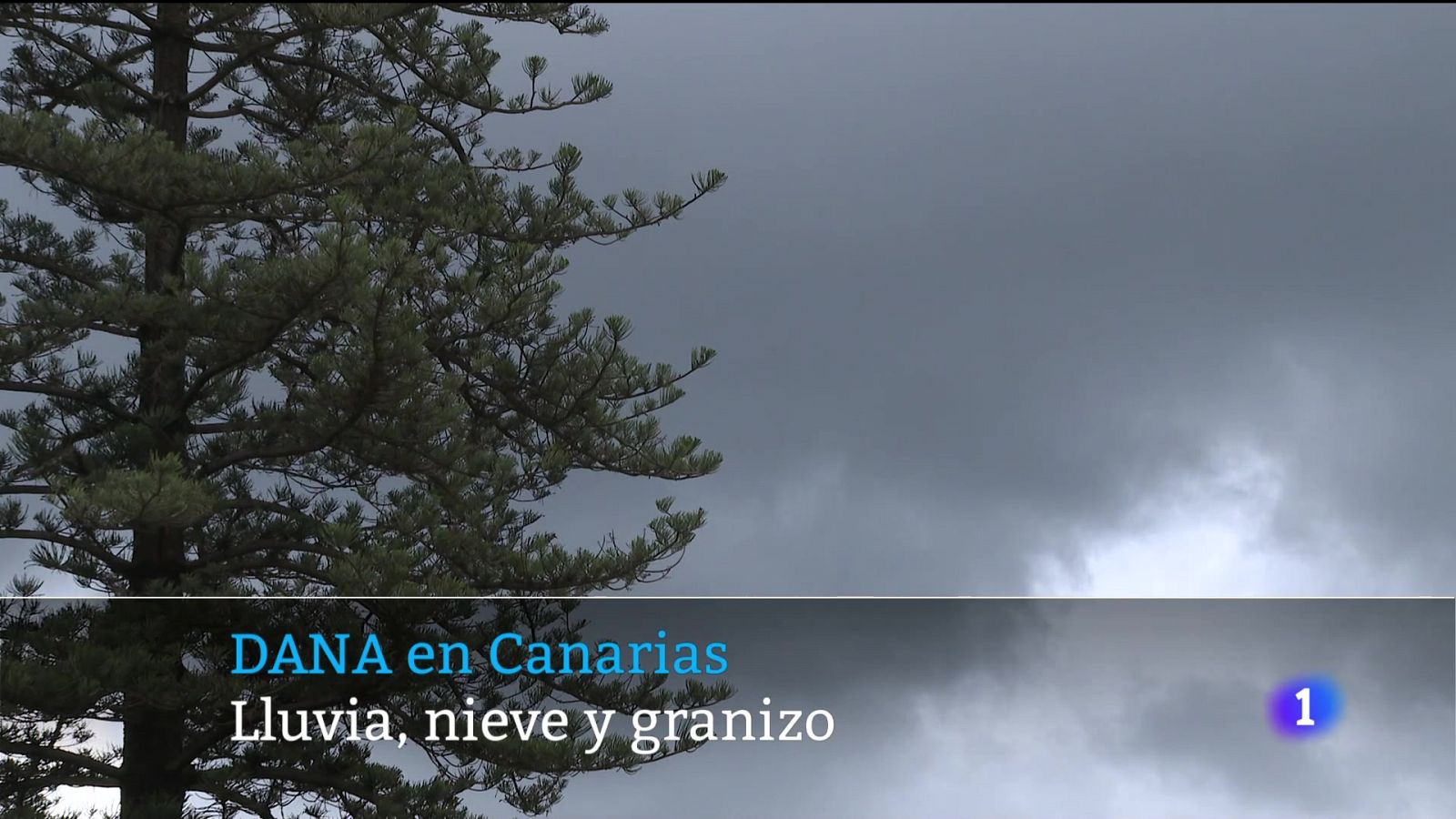 Canarias en 2' - 23/03/2024 | Ver