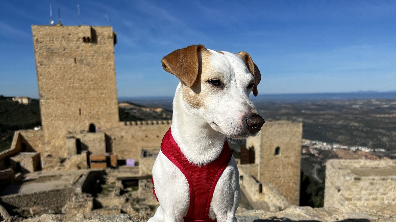 Pipper en ruta - Jaén - ver ahora