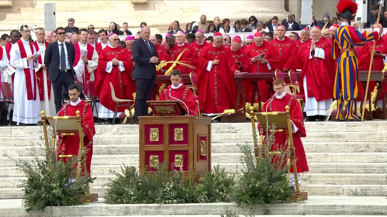 El Día del Señor - Domingo de Ramos desde Roma