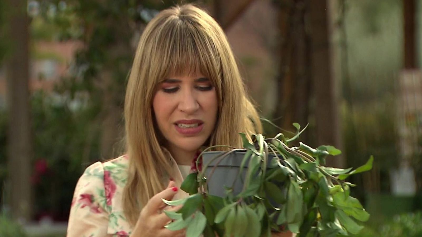 Com deixar de ser un 'mataplantes' - Va de Verd - Va de verd | Veure