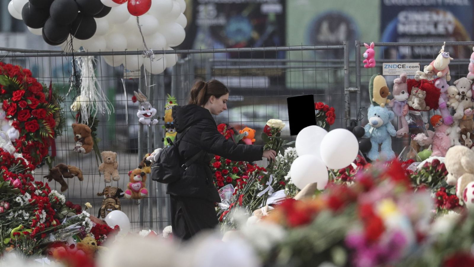 Diario 24 - 25/03/24 - ver ahora