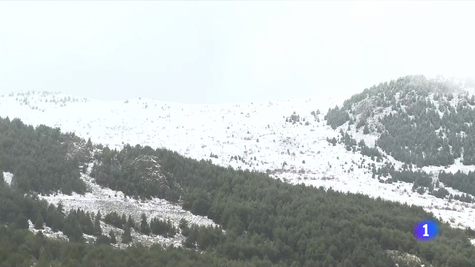 Neva al Pirineu i puja l'ocupació al 90%
