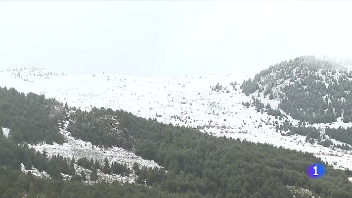 L'Informatiu - Neva per damunt dels 1.000 metres al Pirineu i puja l'ocupació al 90%