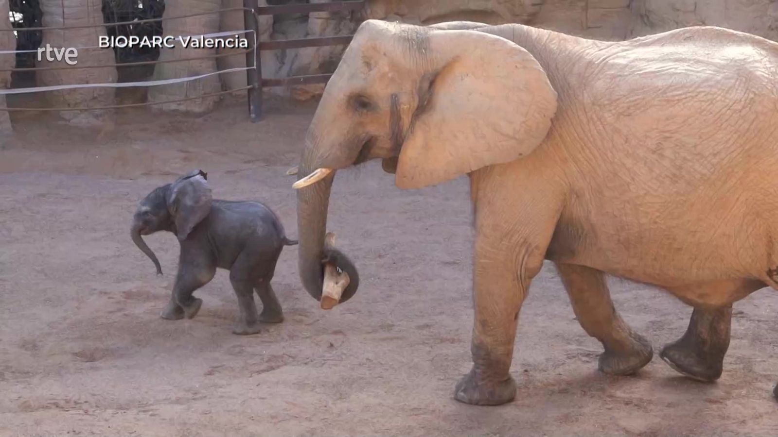 Aquí la Tierra - 27/03/24 - ver ahora