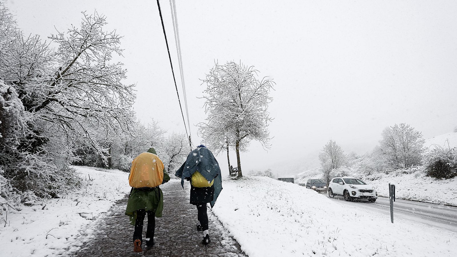 14 comunidades autónomas: aviso por nieve, lluvia, viento y oleaje