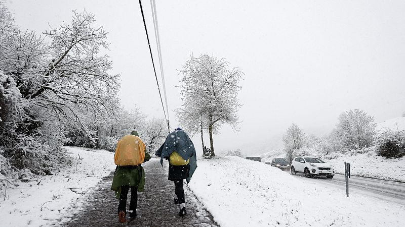 14 comunidades autónomas: aviso por nieve, lluvia, viento y oleaje - Informativo 24h | Ver