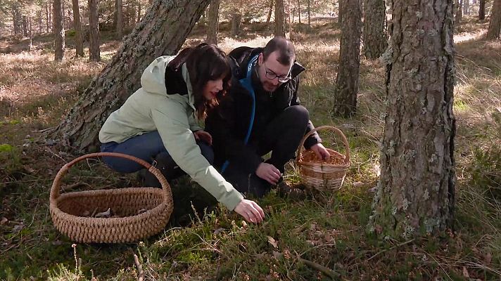 Aquí la Tierra - Aquí la Tierra - 29/03/24