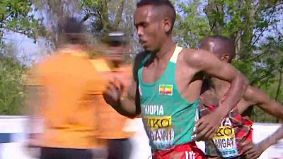 Cross Campeonato del Mundo.Prueba senior masculina