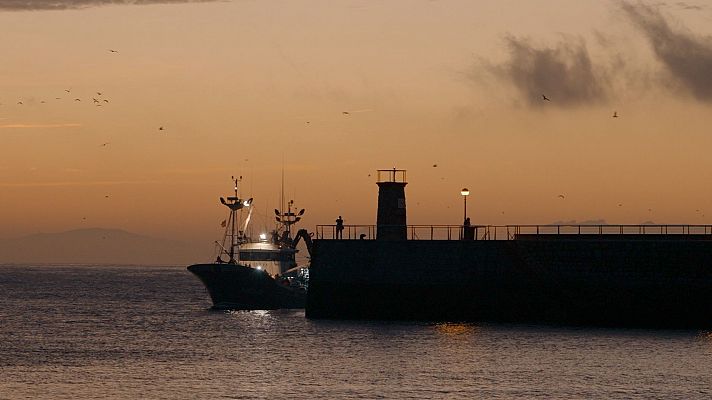 La ruta del vino y el pescado de Lea Artibai