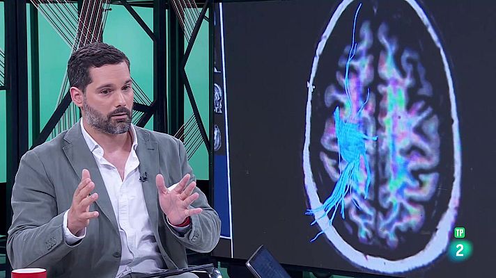 La aventura del Saber - Luis Quevedo. Noticias científicas