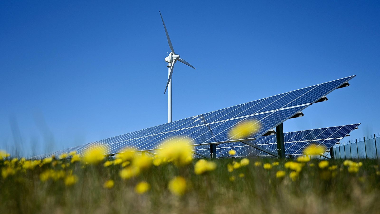 El precio de la luz alcanza mínimo histórico este lunes con cifras en negativo | Ver