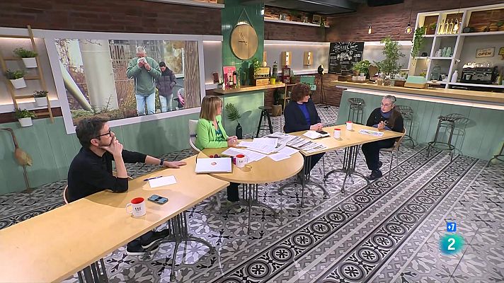 Cafè d'idees - Com serà aquesta primavera per les al·lèrgies?