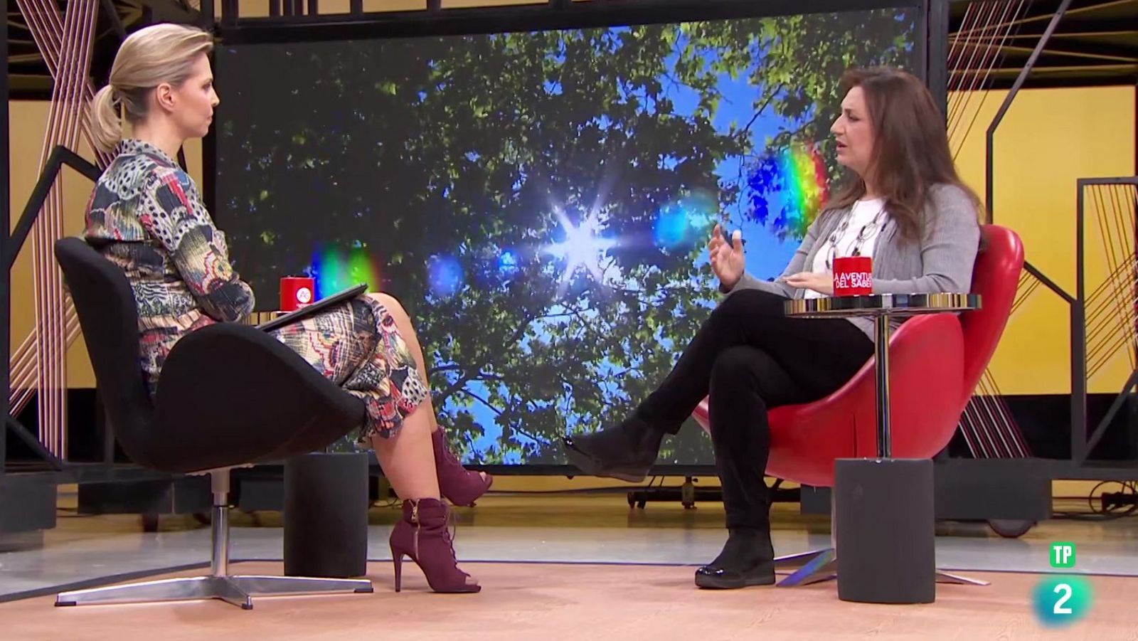 Laura Rojas-Marcos. La astenia primaveral | Ver