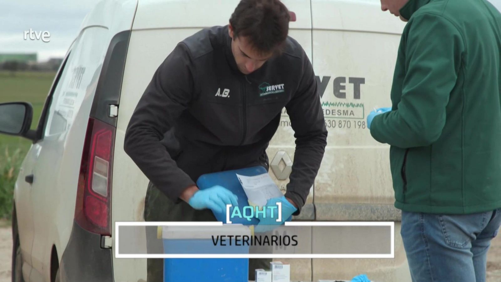 De oficio veterinario - Aquí hay trabajo | Ver