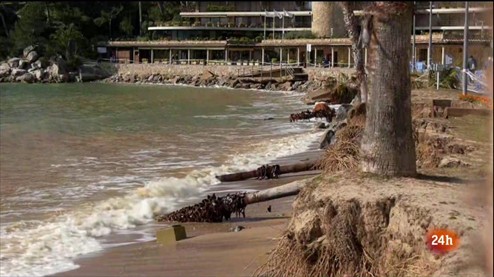 El Vespre - 02/04/2024 - El Vespre | Veure