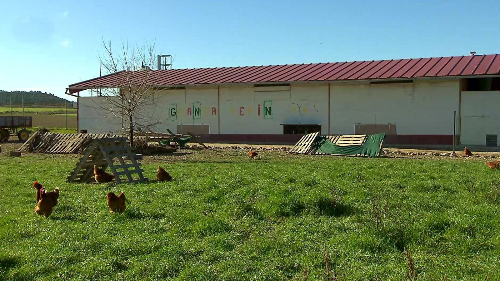 La aventura del saber - 03/04/24 - ver ahora