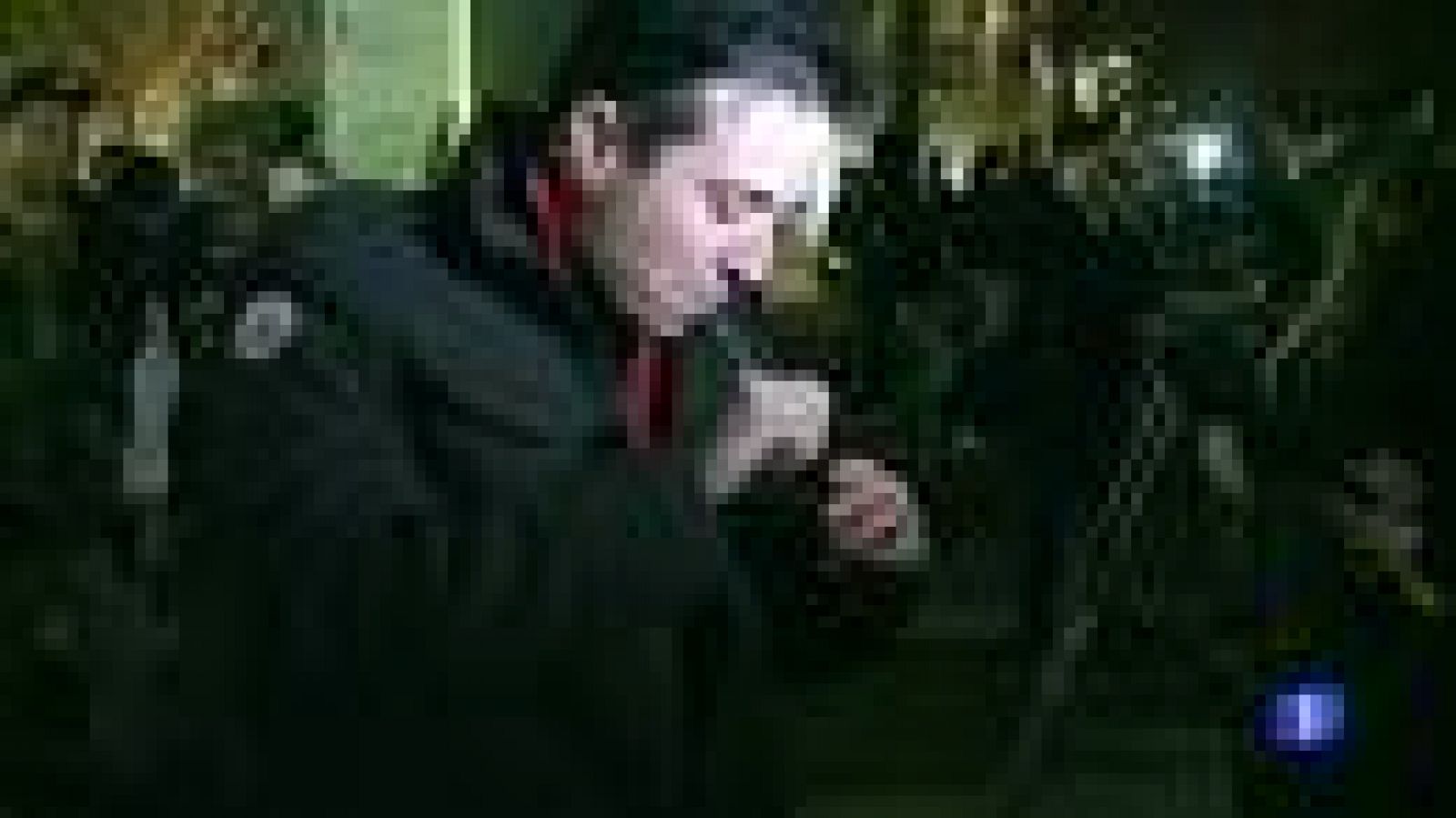 Washington legaliza por completo el consumo de marihuana