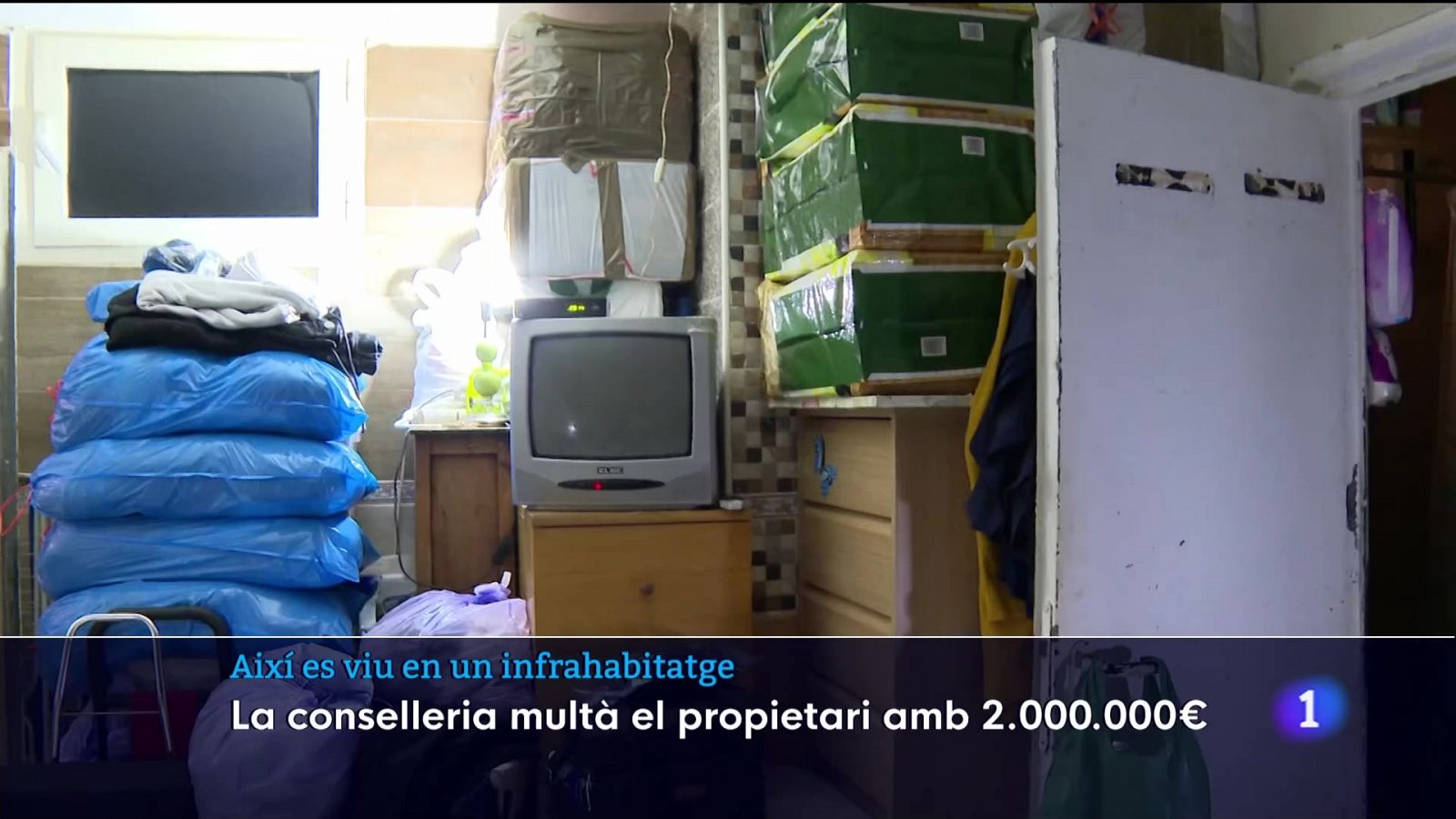 Infrahabitatges a Palma | Ver