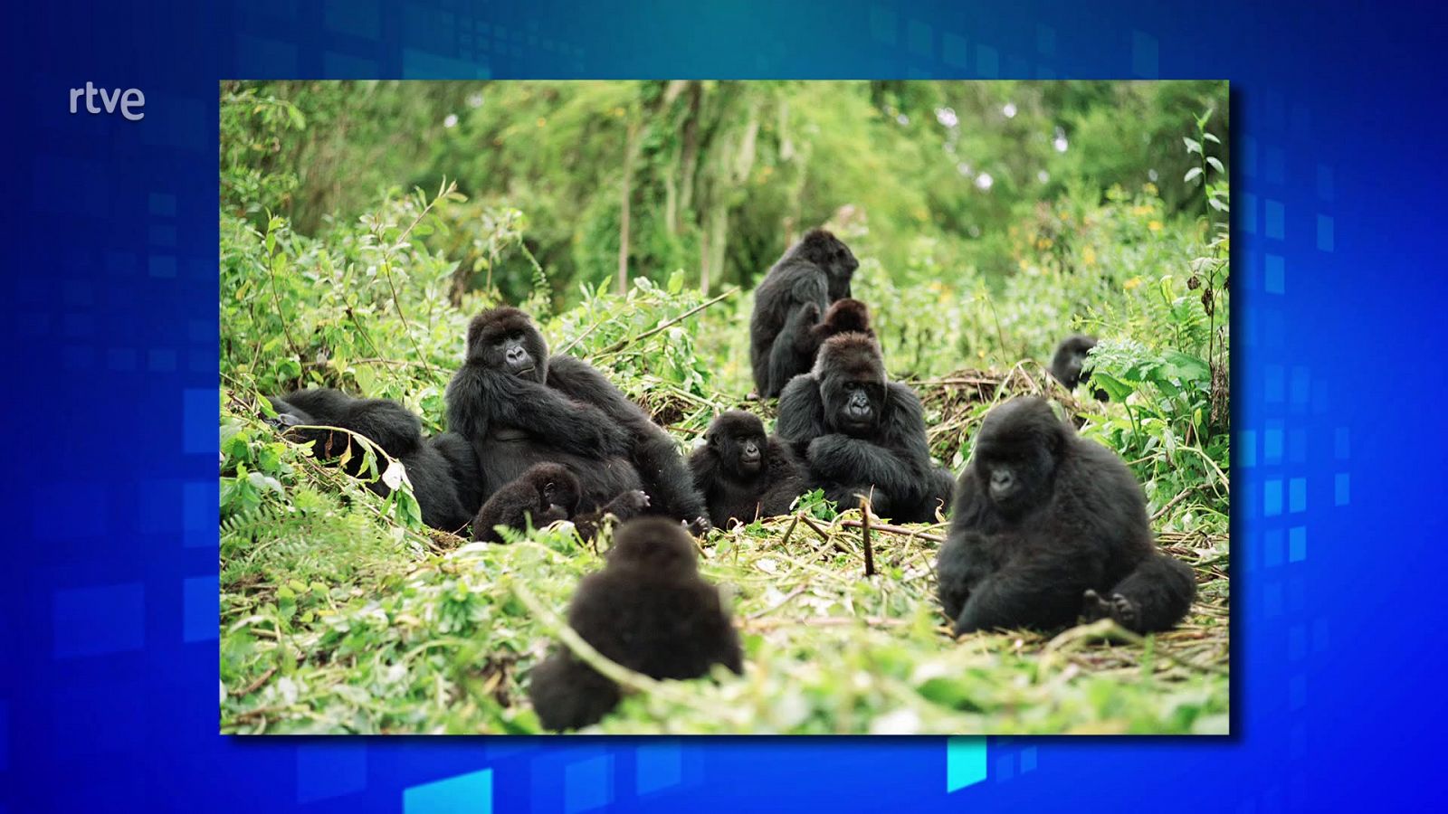 Saber y ganar - 03/04/24 - ver ahora