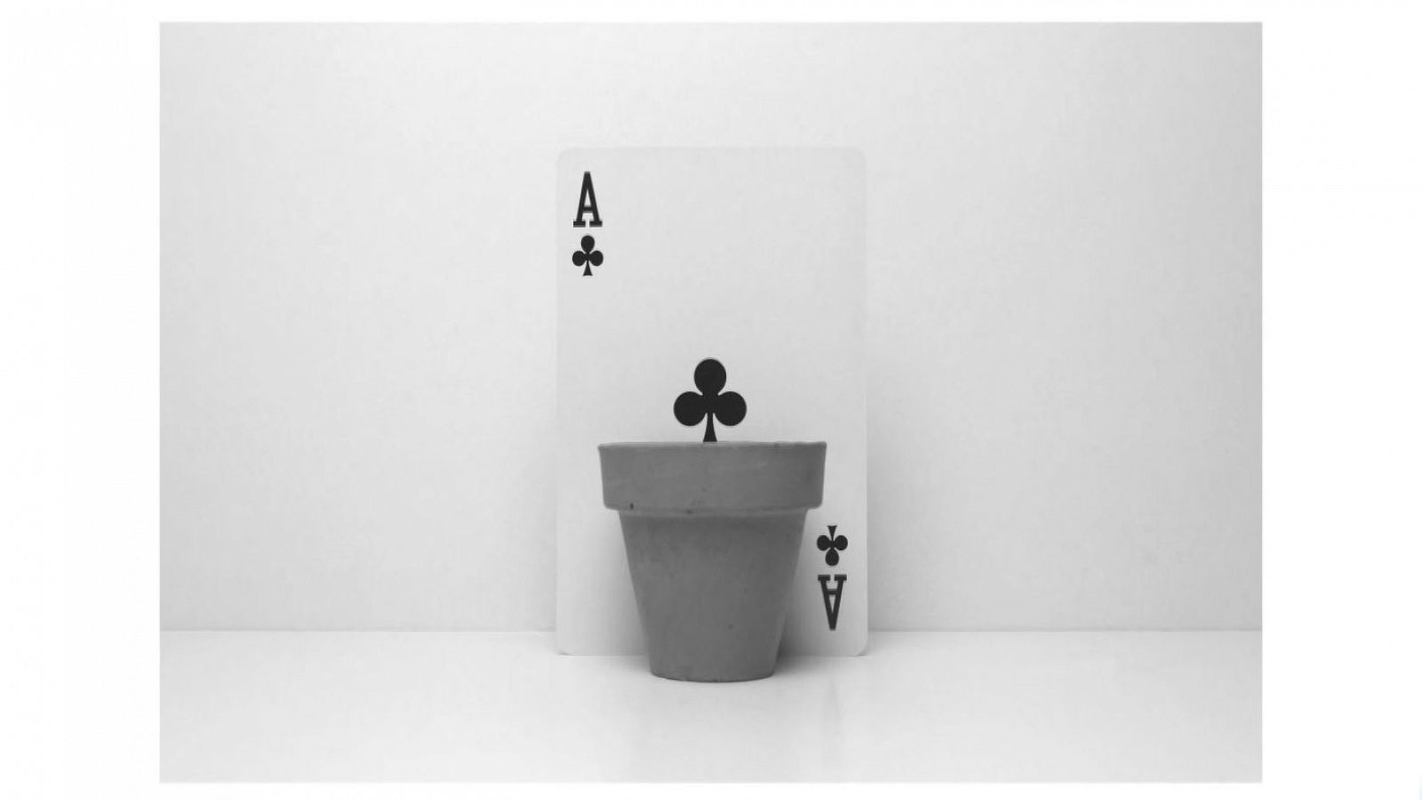 Boek Visual Carles Canals | Ver