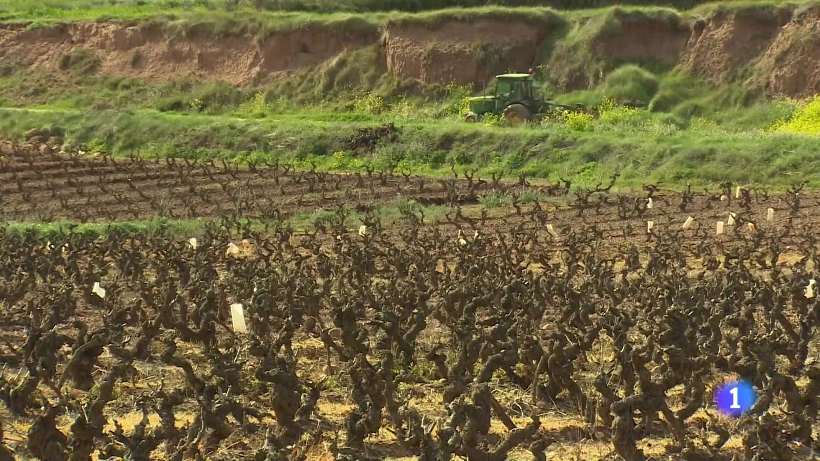 Informativo Telerioja 2 - 04-04-2024 | Ver