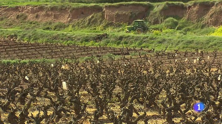 Informativo Telerioja - Informativo Telerioja 2 - 04-04-2024