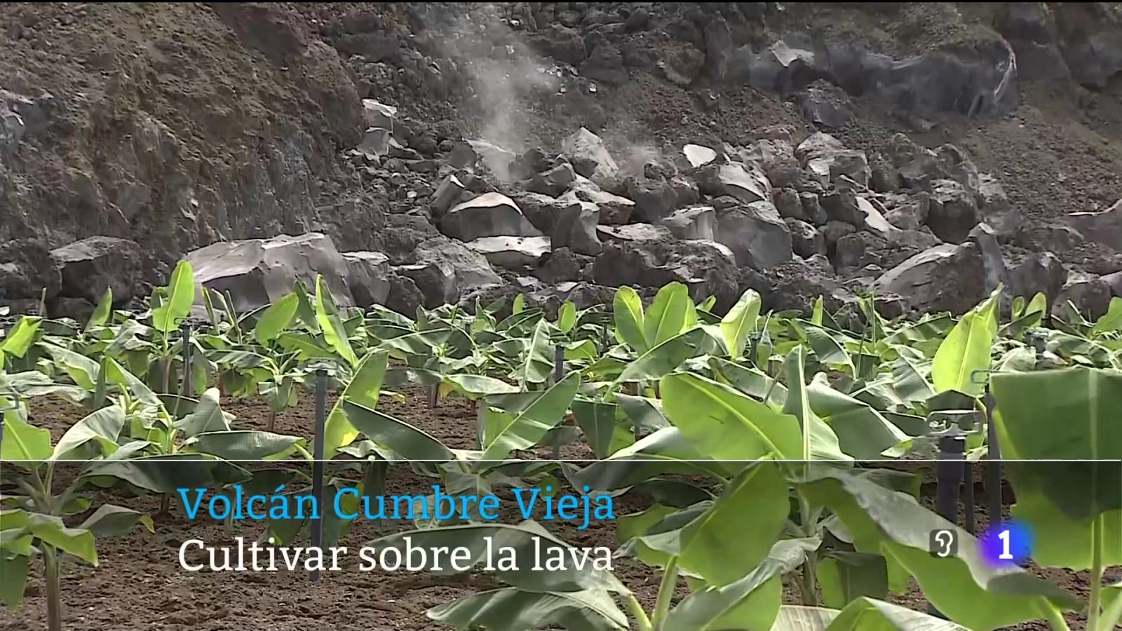 Canarias en 2' - 04/04/2024 | Ver