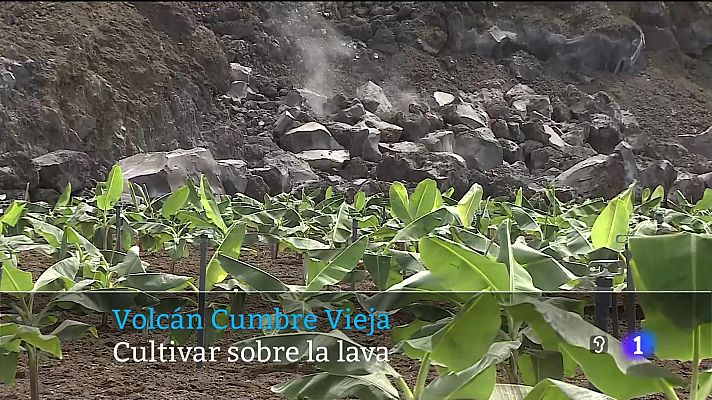 Telecanarias - Canarias en 2' - 04/04/2024