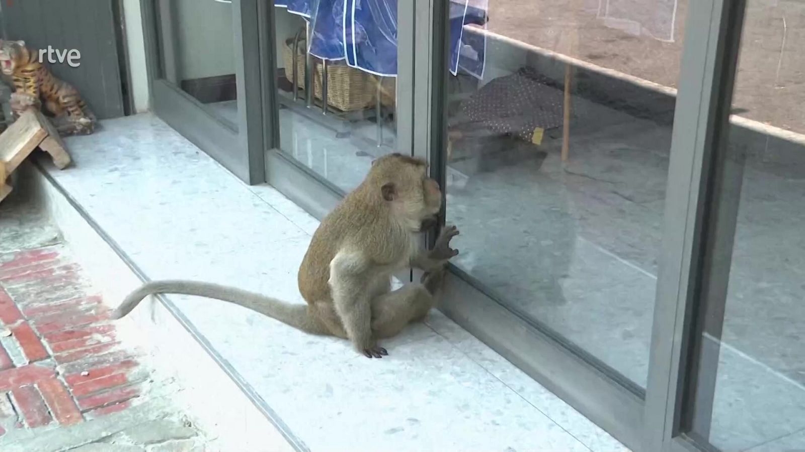 Aquí la Tierra - 04/04/24 - ver ahora