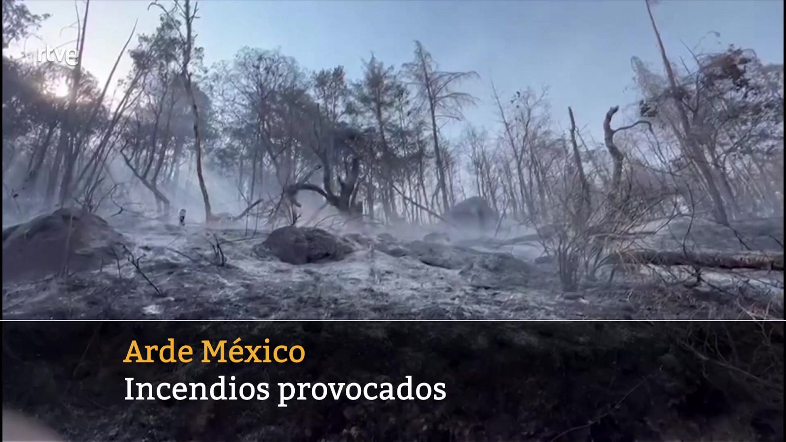 Telediario Internacional - 04/04/24 - ver ahora