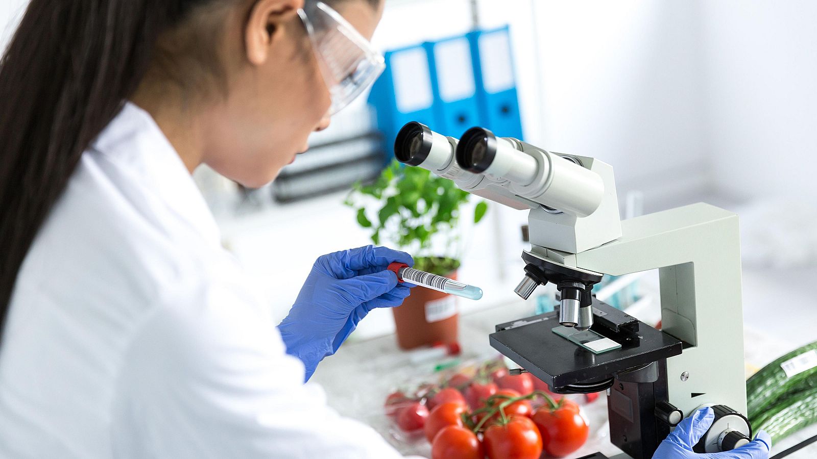 Centro Nacional de Alimentación clave en la crisis del aceite de colza | Ver