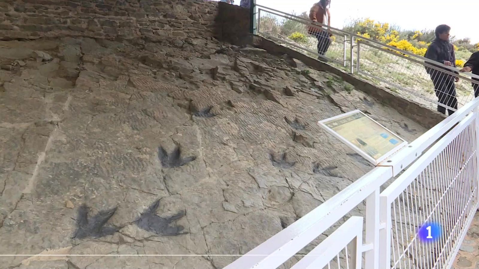 Telerioja en 2' - 05-04-2024 | Ver