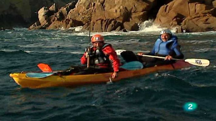 Jara y sedal - A media braza del fondo